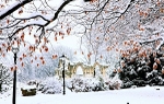 CS253 SNOWY ST MARY'S ABBEY