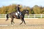 SBM_003344
