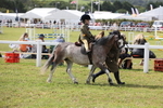 Best Rider Championship portfolio