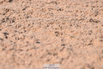 230606A-172550-00196