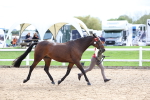 SBM_03973