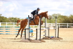 SBM_003813