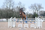 Cls 05A&B Snr Fox & 1.20m Open portfolio