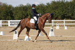 SBM_022629