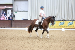 SBM_005379