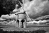 Chesterton Windmill Black & White