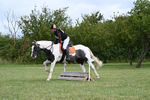 Lyford Hunter Trials 07-07-24 portfolio