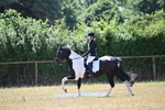 WJ6_4327