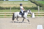BPP_1378