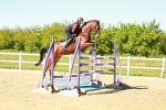 SBM_001915