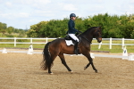 SBM_007781