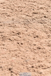 230531A-113921-00224