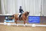 SBM_002644