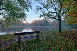 #8  Donadea Lake II