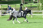 SBM_47089