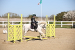 SBM_000653