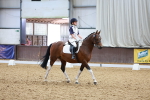 SBM_000211