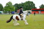 SBM_00923