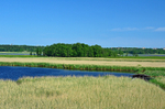 Viikki-Vanhankaupunginlahti Nature Reserve, Helsinki, Finland