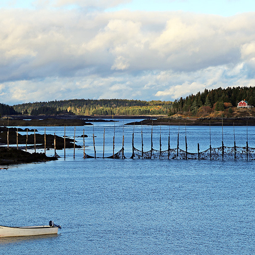 Deer Island Vista
