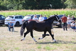 WJ6_4886