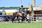SBM_18131