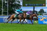280826-Race 1-Hatamoto-4209