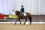 SBM_004908
