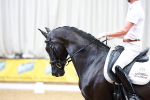 SBM_002161