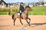 Sunday Huish Arena portfolio