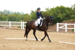 SBM_006360