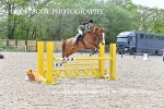 BPP_3876