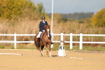 SBM_009290