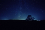 Milky Way at Big Meadows