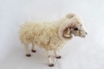 Ram