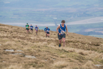 Black Combe-986
