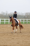 SBM_002838