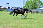 SBM_03906