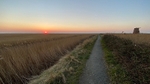 Sunrise Westwood Marshes