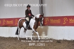 BPP_1261