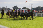 230923-Race 5-Vintage Clarets-5382