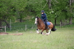 WJ6_1366