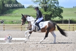 BPP_0665