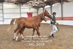JAC_5078