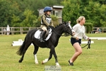 Cls 5 & 6 Dressage portfolio