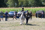 WJ6_7926