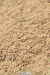 230611A-125534-05589