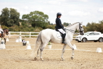 SBM_009550