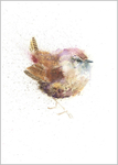Limited print of WREN watercolour 292