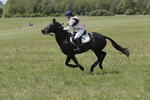 BVHT 140517  IXC -627